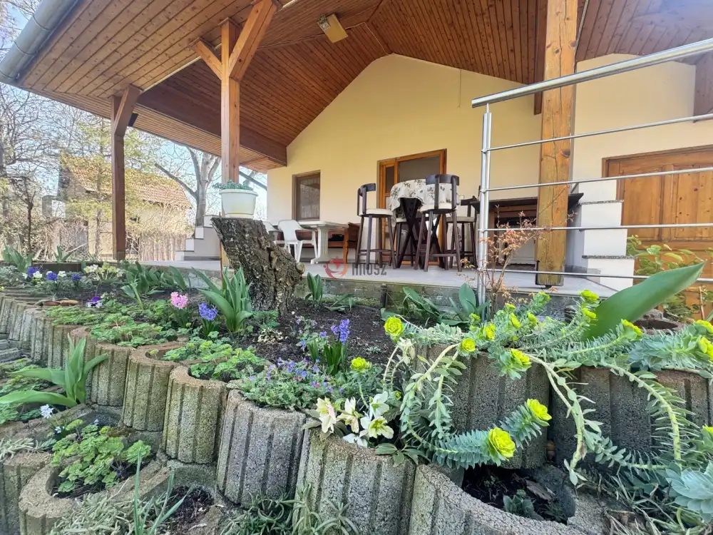 Bács-Kiskun megye - Kiskunfélegyháza