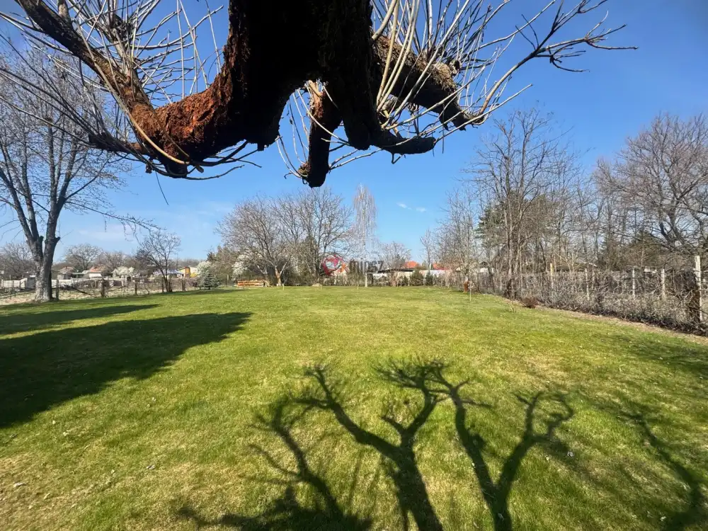 Bács-Kiskun megye - Kiskunfélegyháza