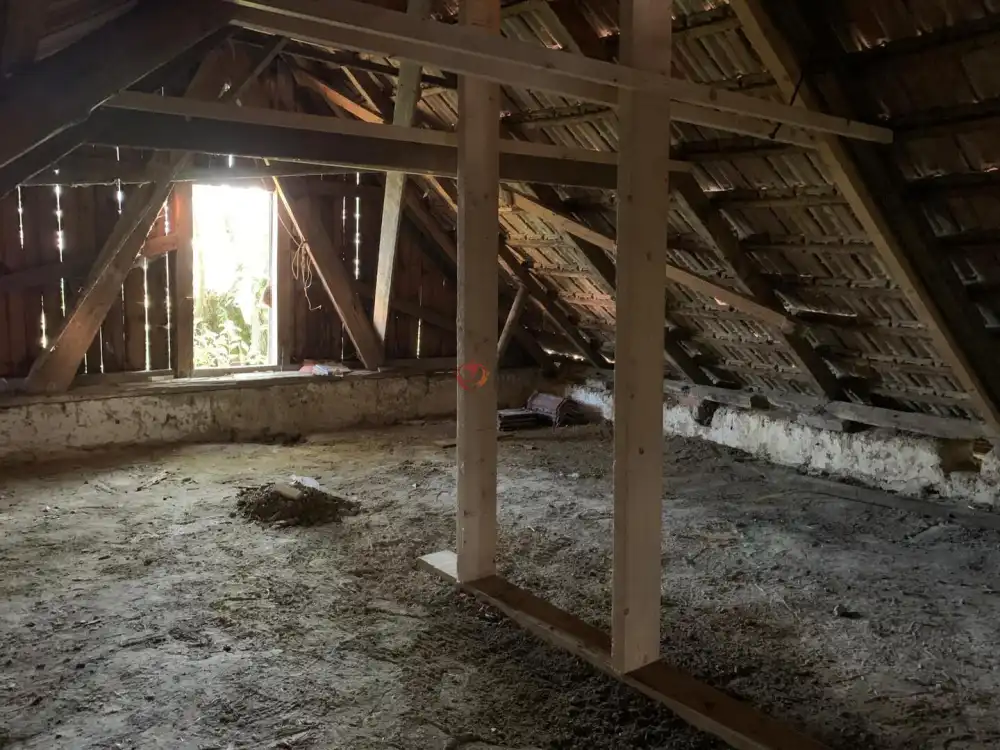 Bács-Kiskun megye - Kiskunfélegyháza